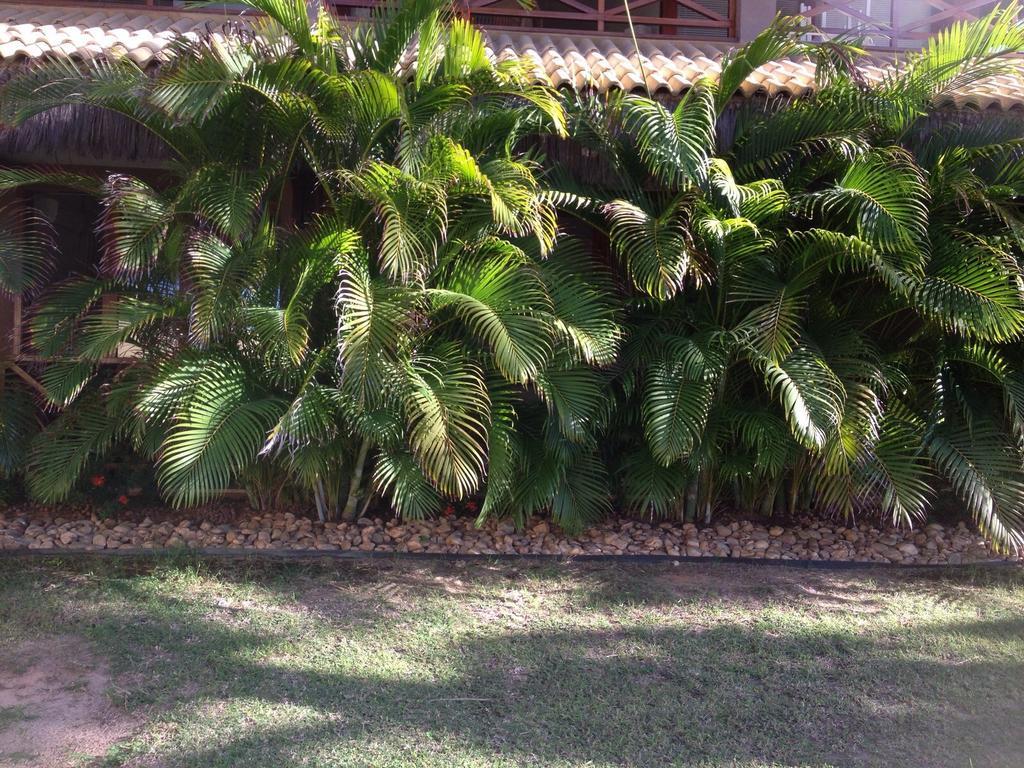 Eco Flecheiras Residence מראה חיצוני תמונה
